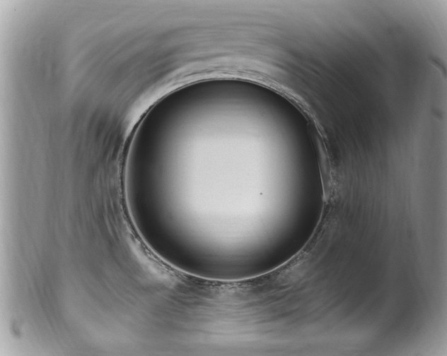 X0000102311530200807251427