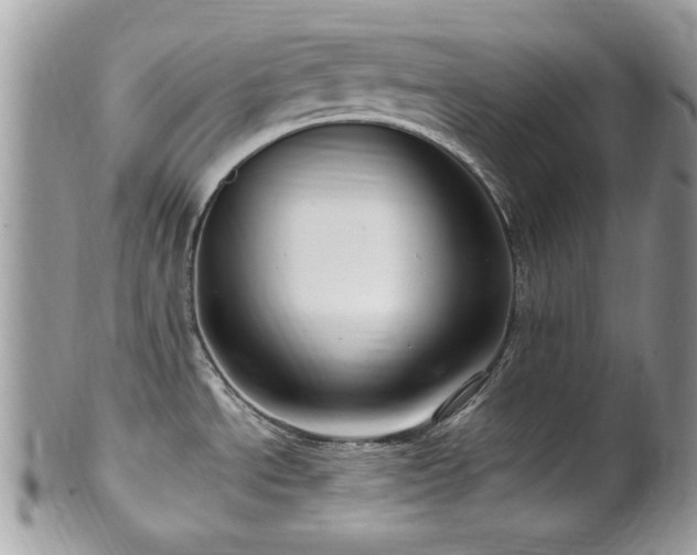 X0000102311534200807251427
