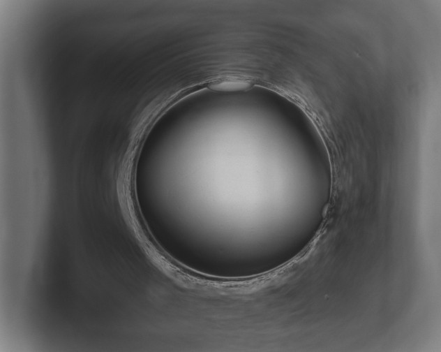 X0000102310001200808011432