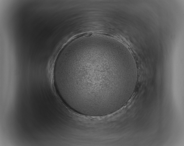 X0000102310002200808011432