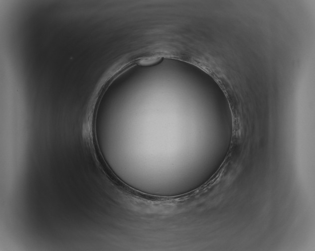 X0000102310004200808011432