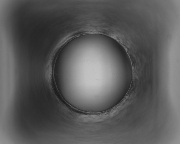 X0000102310005200808011432