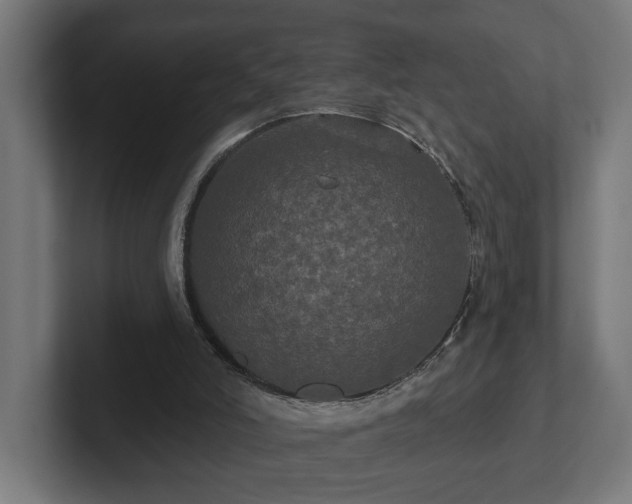 X0000102310006200808011432