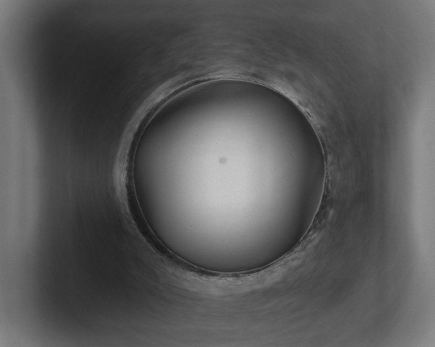 X0000102310007200808011432