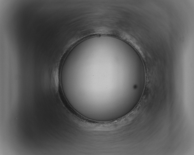 X0000102310011200808011432