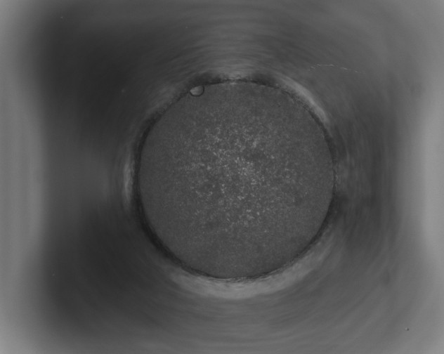 X0000102310018200808011432