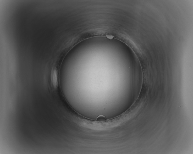 X0000102310022200808011432