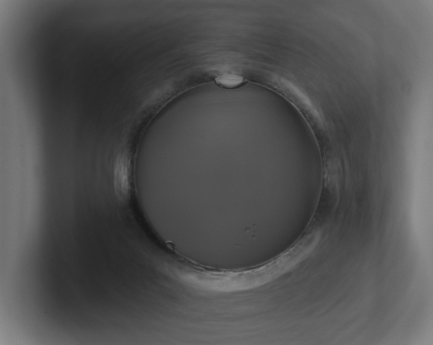 X0000102310023200808011432