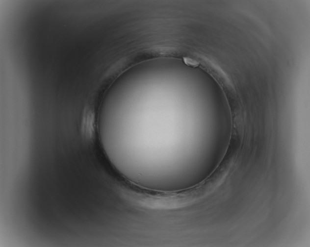 X0000102310024200808011432