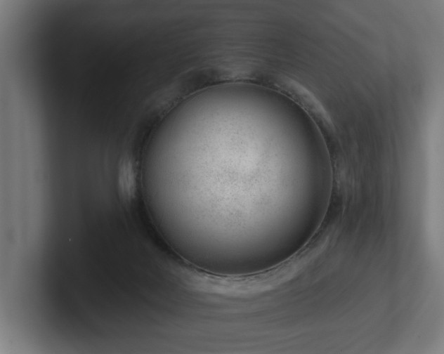 X0000102310026200808011432