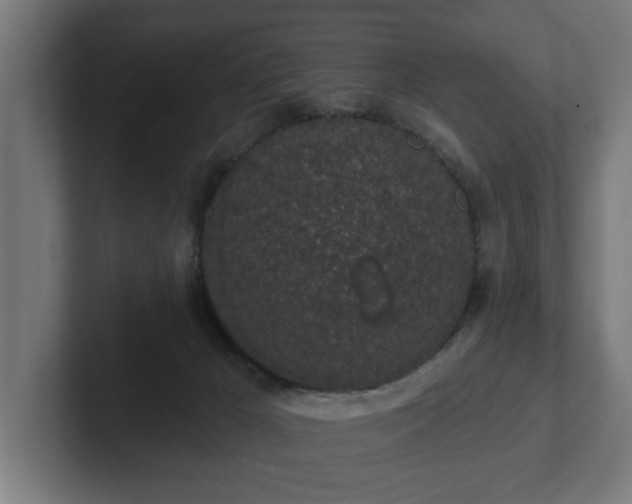 X0000102310029200808011432