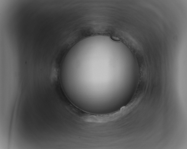 X0000102310033200808011432