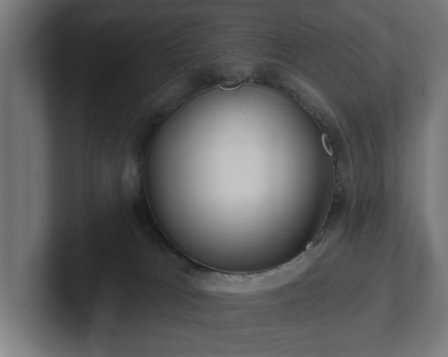 X0000102310037200808011432