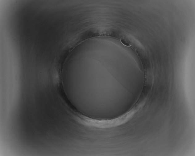 X0000102310039200808011432