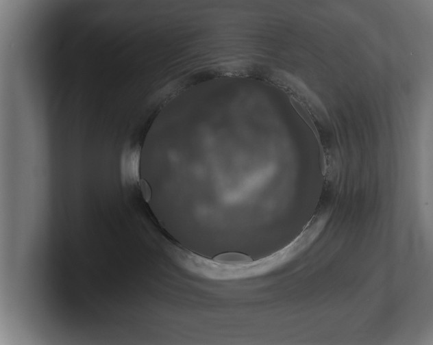 X0000102310047200808011432