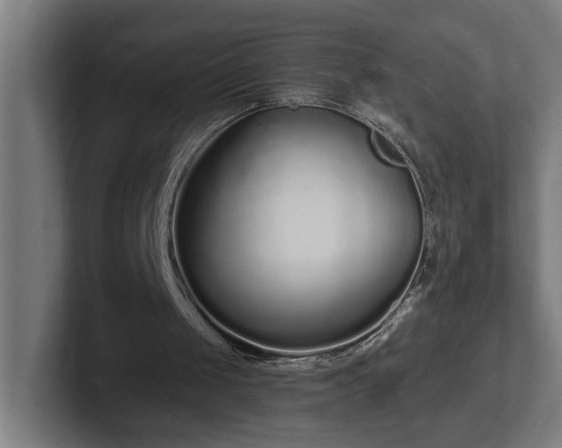 X0000102310049200808011431