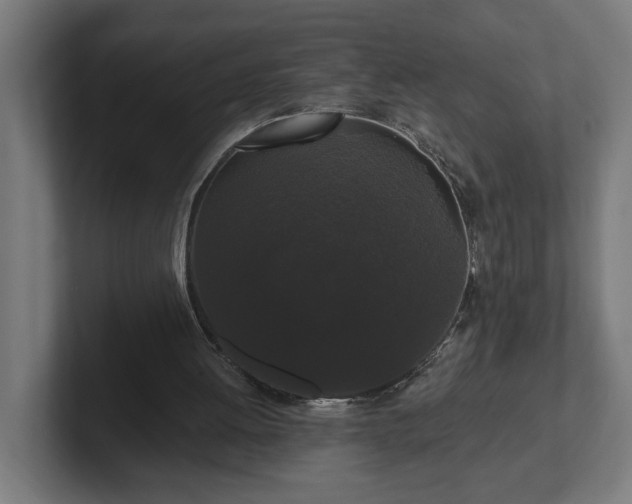 X0000102310052200808011431