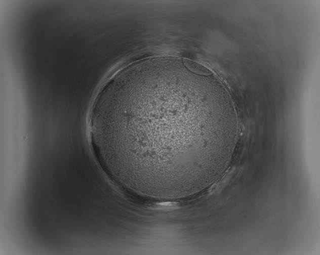 X0000102310053200808011431