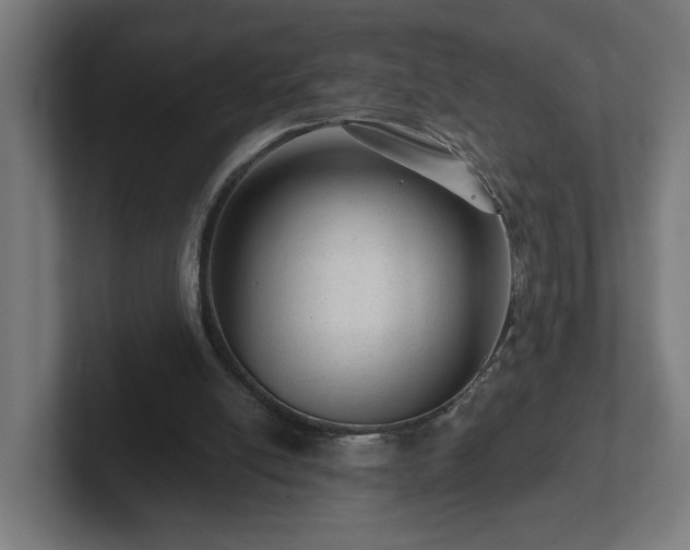 X0000102310054200808011431