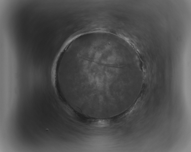 X0000102310056200808011431