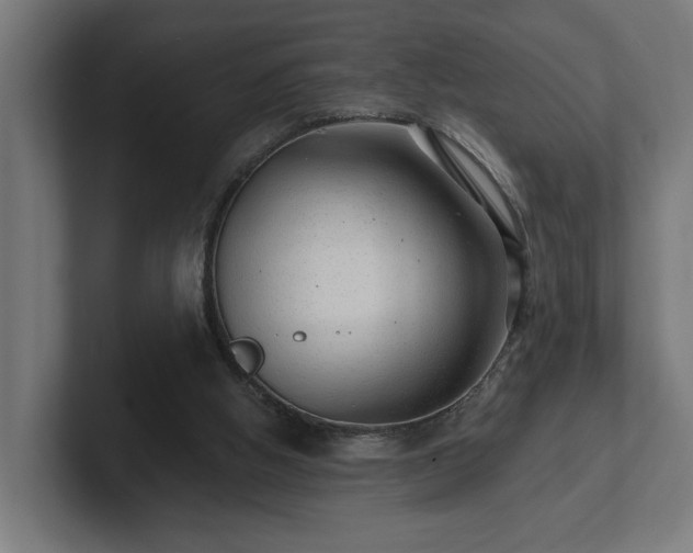 X0000102310058200808011431