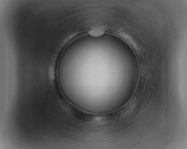 X0000102310060200808011431