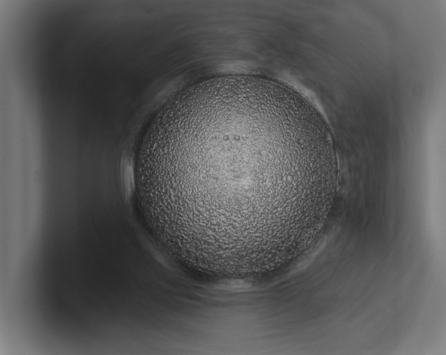 X0000102310061200808011431