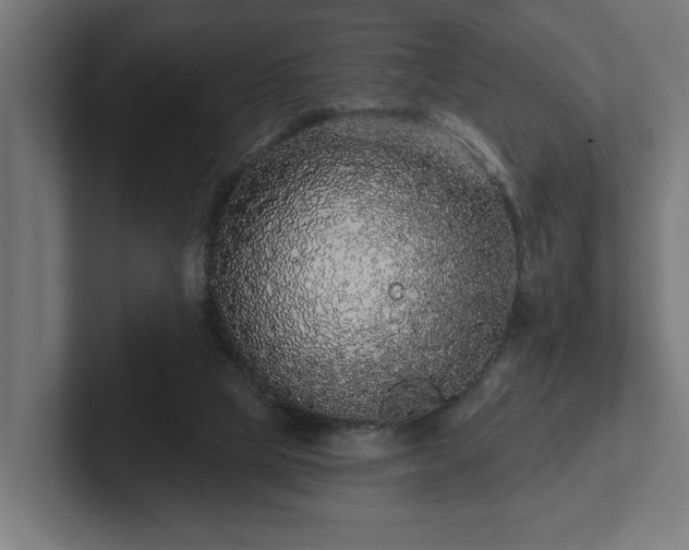 X0000102310065200808011431