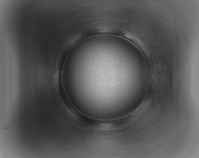 X0000102310066200808011431