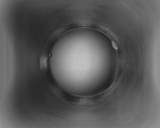 X0000102310070200808011431