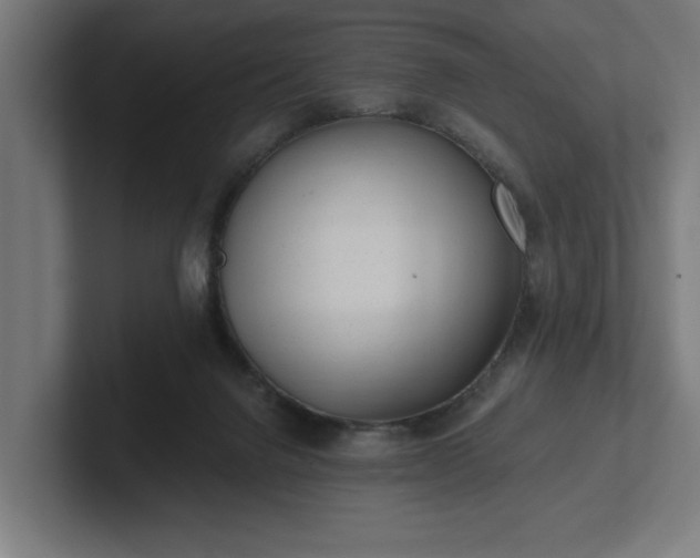 X0000102310072200808011431