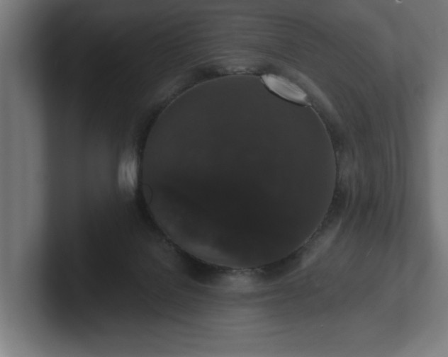 X0000102310076200808011431