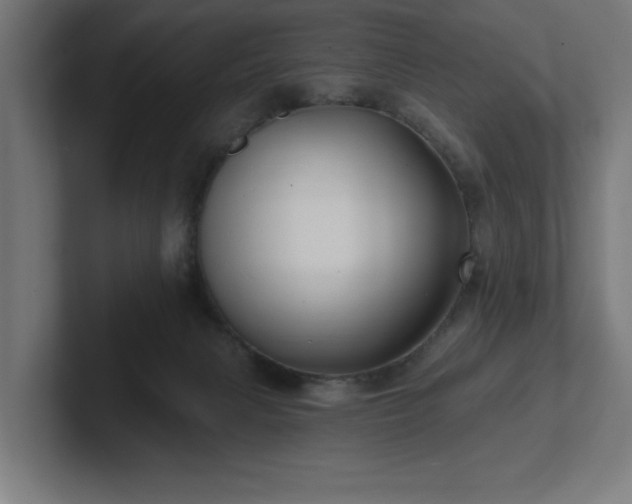 X0000102310079200808011431