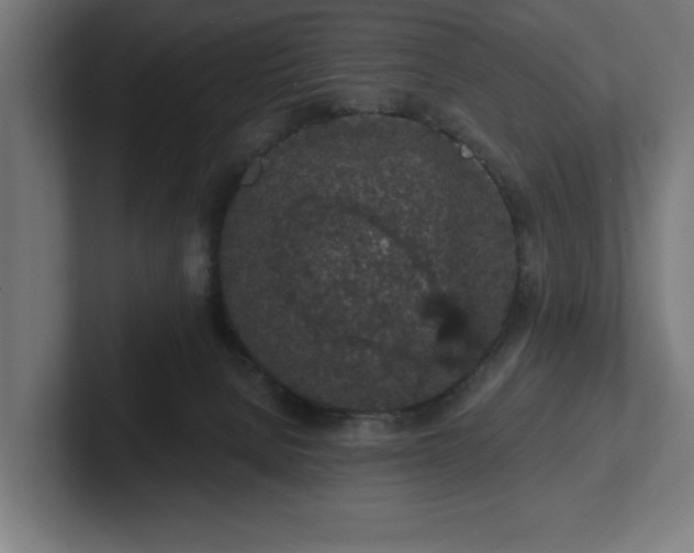 X0000102310080200808011431