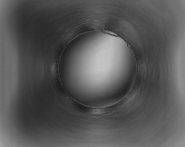 X0000102310088200808011431