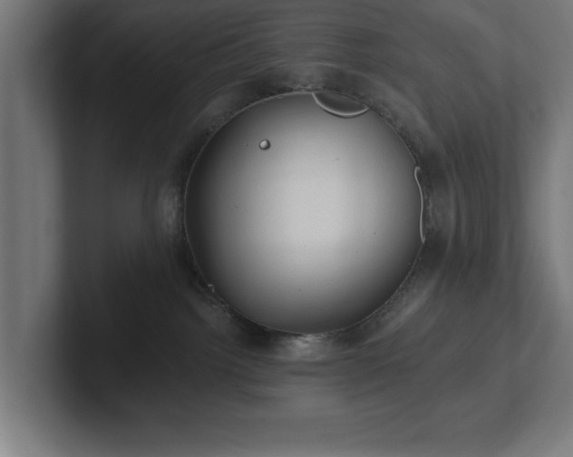 X0000102310092200808011432