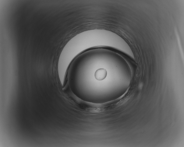 X0000102310096200808011432