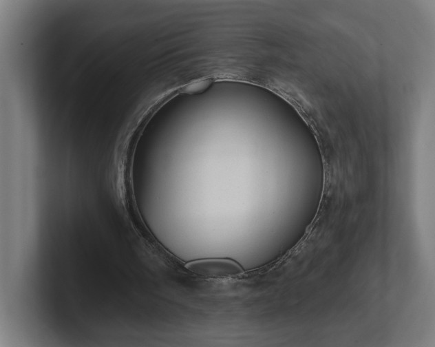 X0000102310098200808011431