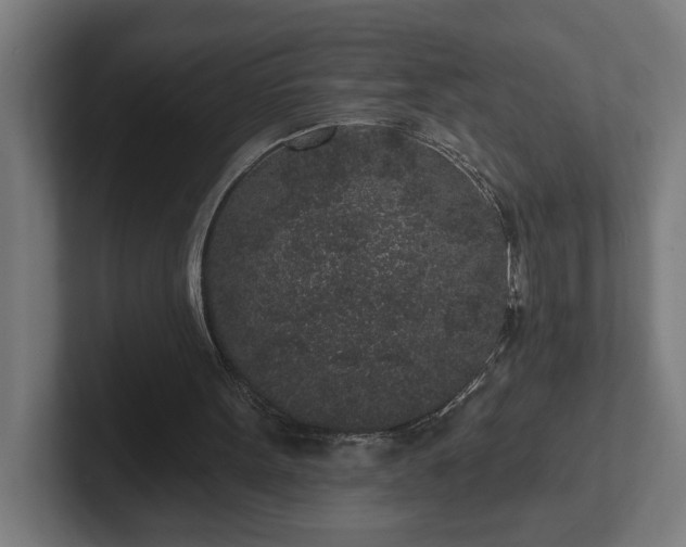 X0000102310099200808011431