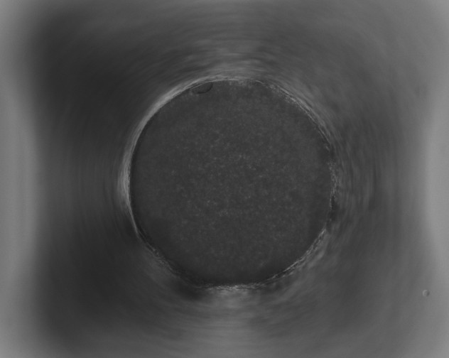 X0000102310100200808011431