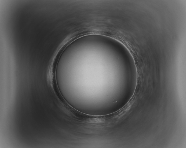 X0000102310102200808011431