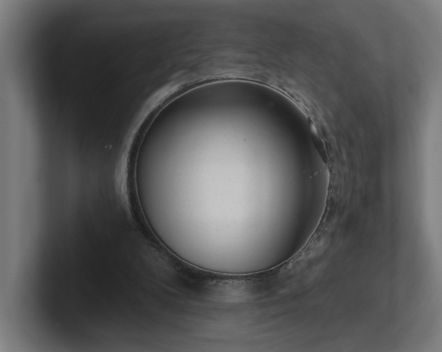 X0000102310104200808011431