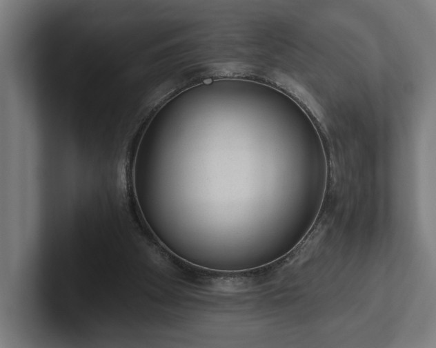 X0000102310105200808011431