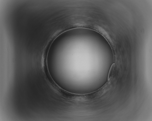 X0000102310106200808011431