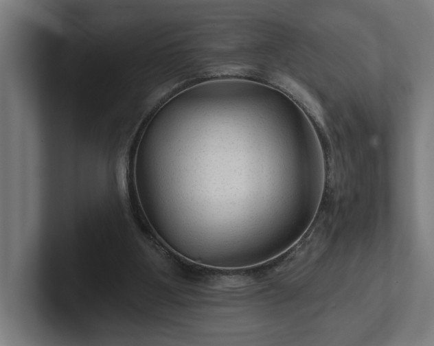 X0000102310107200808011431