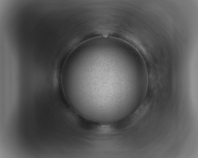 X0000102310114200808011431