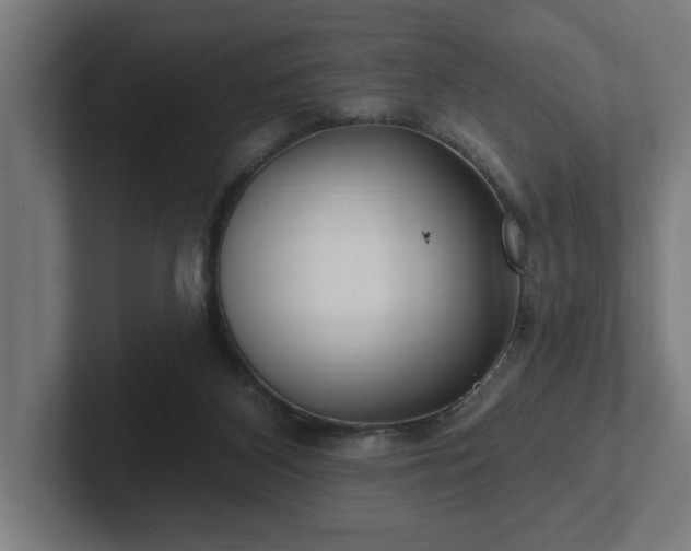 X0000102310116200808011431