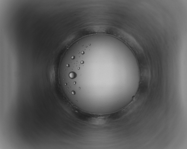 X0000102310120200808011431