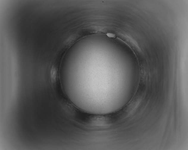 X0000102310123200808011431