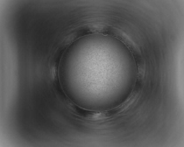 X0000102310130200808011431